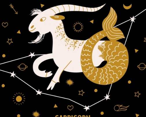 處女男魔羯女愛情 處女男魔羯女愛情