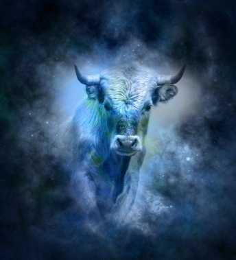 金牛座愛情特質