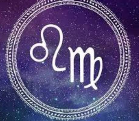 獅子處女 性格 獅子處女 性格