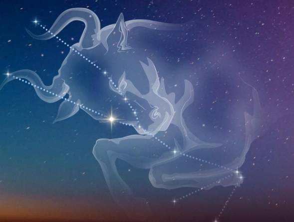 如何吸引金牛男