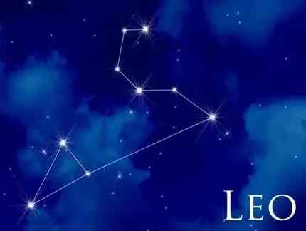 處女座 獅子座 愛情