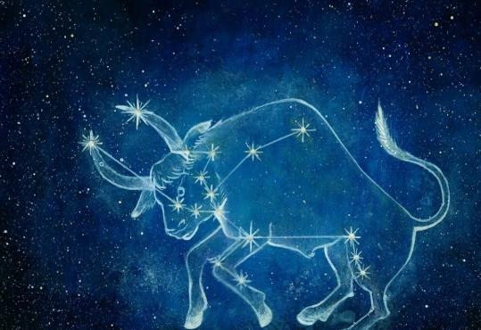 金牛座男生喜歡的女生