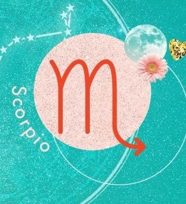 金星處女女 優缺點 金星處女女 優缺點