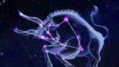 如何吸引金牛男