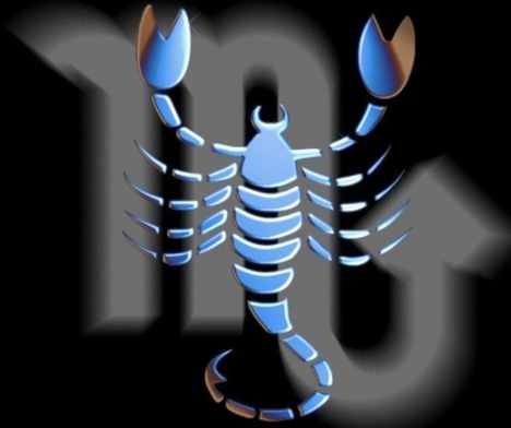 天蠍男處女女配對