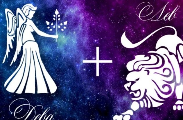 獅子座處女座 配對 獅子座處女座 配對