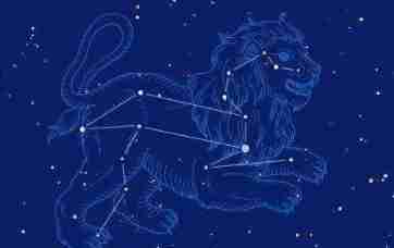 獅子女冷淡原因