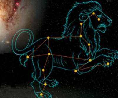 獅子男魔羯女 配對 獅子男魔羯女 配對