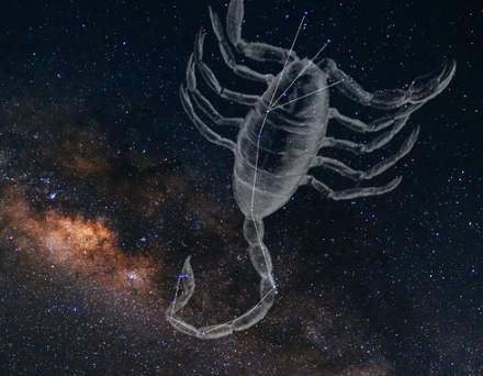 天蠍座男生愛情