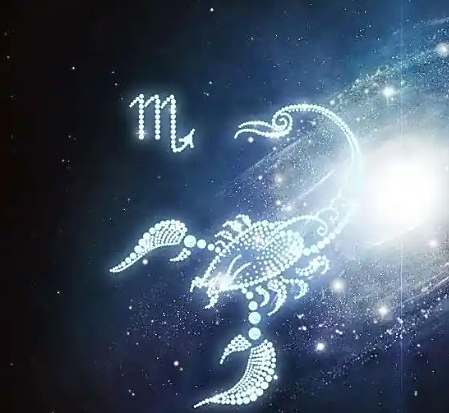 天蠍男天蠍女愛情