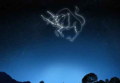 如何吸引金牛男