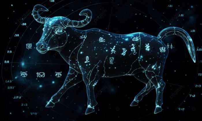 金牛座暗戀眼神