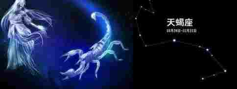 天蠍男追求方法 天蠍男追求方法