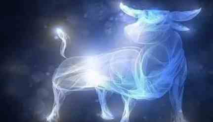 金牛座男生理想型