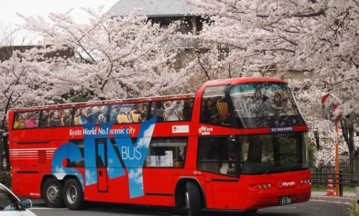 京都一日遊巴士