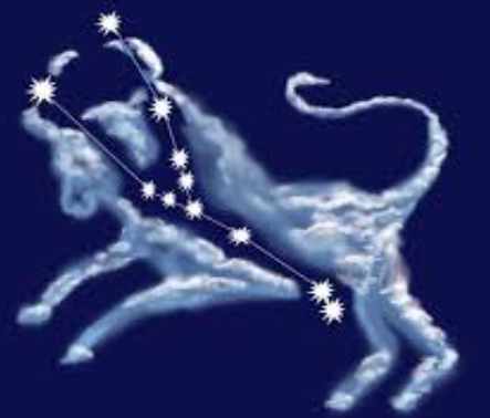 金牛女喜歡一個人的表現