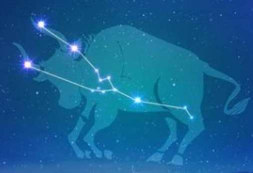 金牛座女生聊天