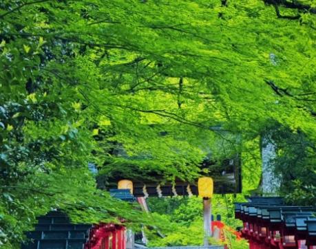 大阪到京都交通