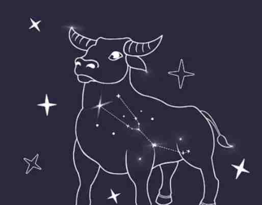 金牛座朋友跡象 金牛座朋友跡象