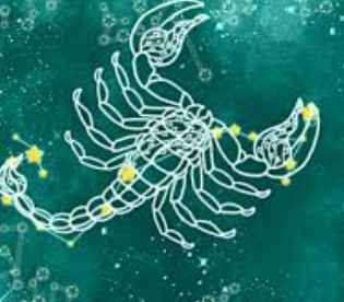 天蠍座女生偏好