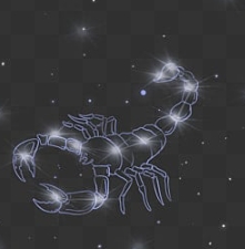 天蠍女戀愛特徵