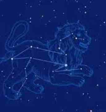 獅子女暗戀表現