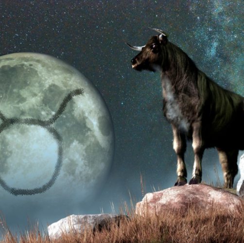 如何知道金牛女對你有好感