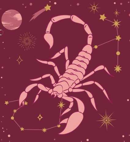 天蠍座女生偏好