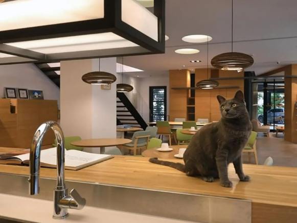 寵物友善住宿南投