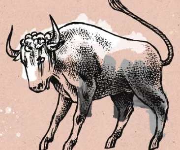 金牛座女生戀愛信號 金牛座女生戀愛信號