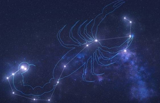 天蠍女暗戀信號