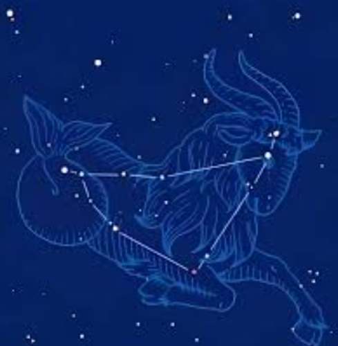 魔羯女暗戀表現