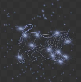 如何知道獅子女喜歡你