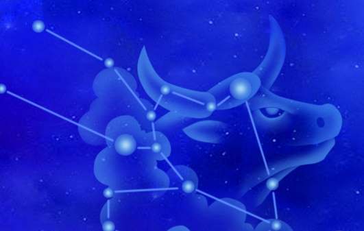 金牛女友情表現 金牛女友情表現