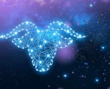 金牛女友情表現 金牛女友情表現