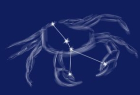 巨蟹女喜歡一個人小動作