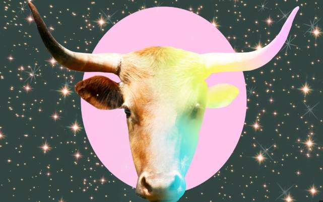 金星金牛女 愛情