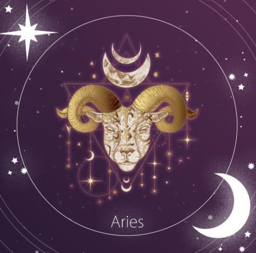 牡羊女处女男配对