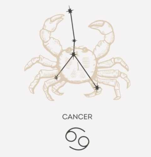 巨蟹女獅子男配對 巨蟹女獅子男配對