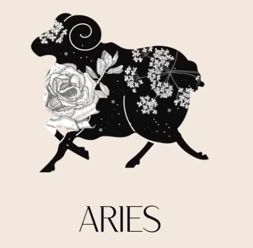 牡羊座男理想型