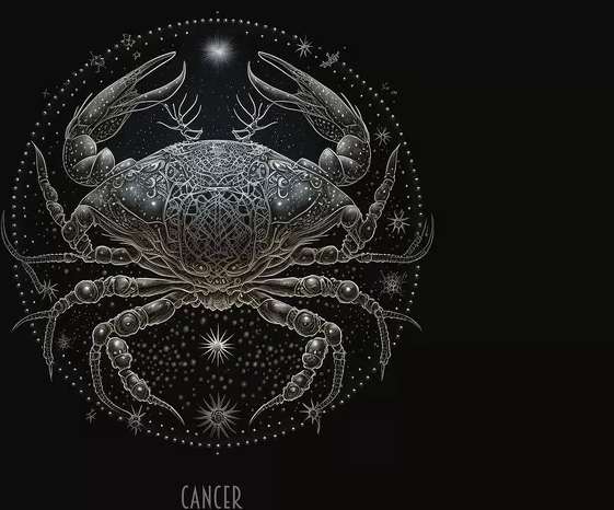 巨蟹男摩羯女配对