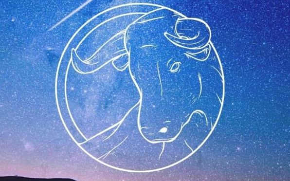 魔羯男金牛女配对