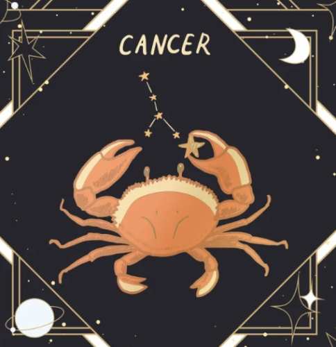 巨蟹女追求方法