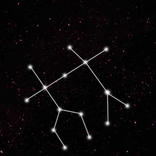 双子男摩羯女配对