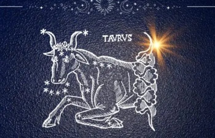 金牛女天蠍男配對