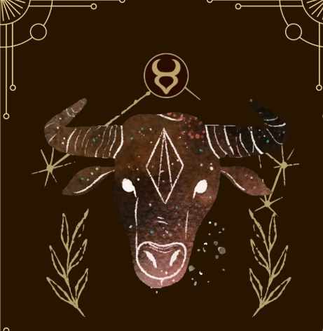 金牛女 喜歡一個人 表現