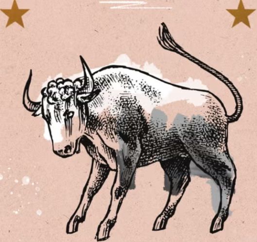 金牛座男生變心跡象 金牛座男生變心跡象