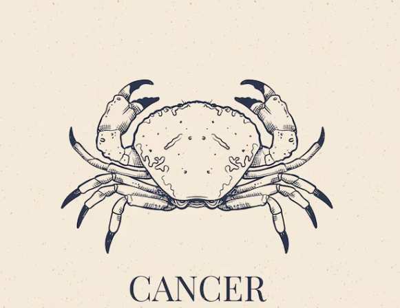 巨蟹男喜歡的女生類型