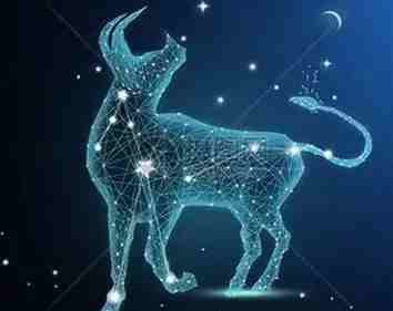 金牛男喜歡的類型