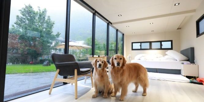 埔里寵物友善民宿